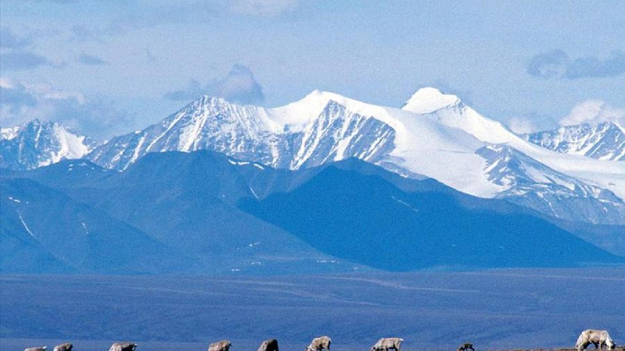 Denali, Alaska, Amerika Serikat. AP/