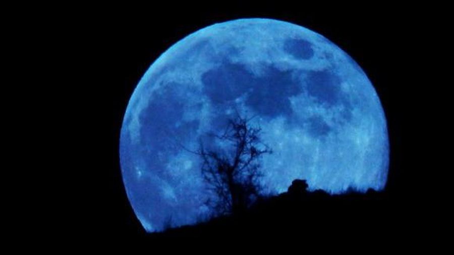 Ilustrasi Blue Moon