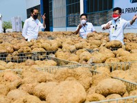 Genjot KUR BNI buat Petani Porang, Kredit Langsung Cair!