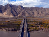 Tembus Sampai ke Rusia, China Resmikan Jembatan 2.215 Meter