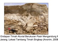 PT Timah Cari Partner Garap Harta Karun Super Langka RI