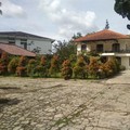 Harga Covid-19, Vila-Vila di Puncak Diobral di Bawah Rp 1 M!