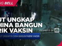 Luhut Ungkap RI - China Bangun Pabrik Vaksin