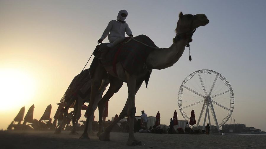 A man gives a tourist a ride on camel as the sun sets behind the