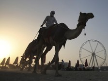 Heboh Pantai Bikini Arab Saudi, Ini Ternyata Biang Keladinya
