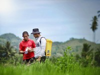 Kebal Krisis Pandemi, BRI Genjot Kredit Sektor Pertanian