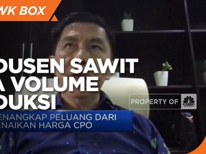 Harga CPO Melesat, Produsen Sawit Perluas Pasar Ekspor