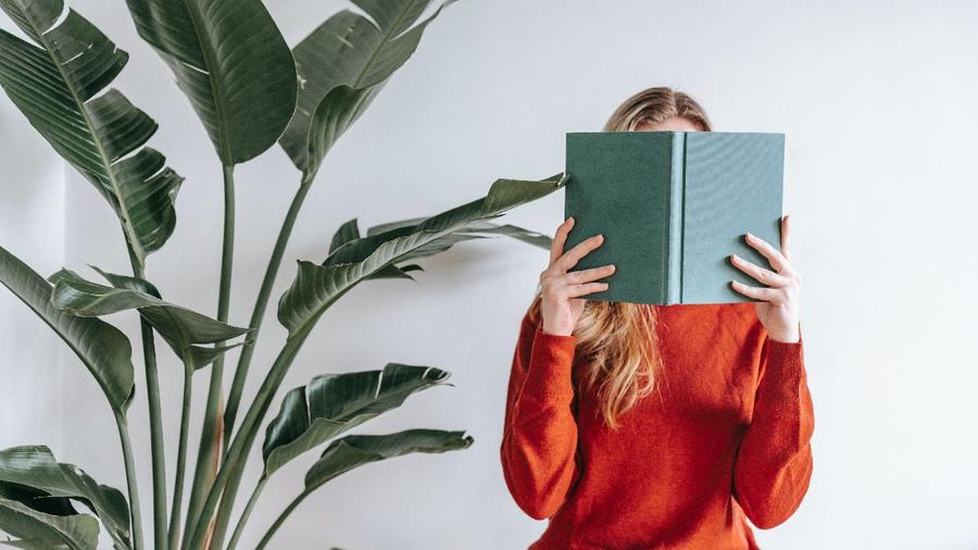Ilustrasi (Photo by George Milton from Pexels)