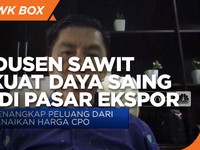 Jurus Produsen Sawit Perkuat Daya Saing CPO di Pasar Ekspor