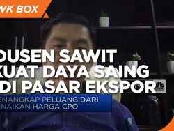 Jurus Produsen Sawit Perkuat Daya Saing CPO di Pasar Ekspor