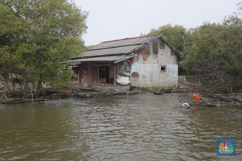 Muara Gembong (CNBC Indonesia/Tri Susilo)
