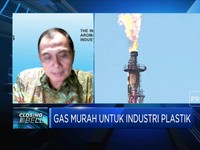 Pajak Karbon Tekan Daya Saing Industri, Ini Harapan Inaplas