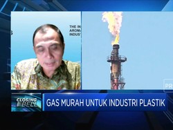 Pajak Karbon Tekan Daya Saing Industri, Ini Harapan Inaplas