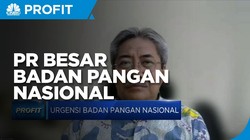 Bustanul Arifin Sebut Ini PR Kepala Badan Pangan Nasional