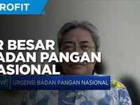 Bustanul Arifin Sebut Ini PR Kepala Badan Pangan Nasional