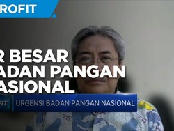 Bustanul Arifin Sebut Ini PR Kepala Badan Pangan Nasional