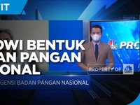 Jokowi Bentuk Badan Pangan Nasional, KSP Jelaskan Tujuannya