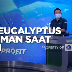 Napas Tetap Aman di Kala Pandemi Bersama Plossa Eucalyptus