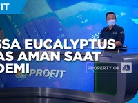 Napas Tetap Aman di Kala Pandemi Bersama Plossa Eucalyptus