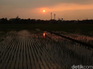 Cuaca Bandung Hari Ini, 15 Oktober 2026: Cerah-Suhu 33 Derajat Celsius