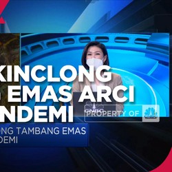 Kinerja Kinclong Bisnis Tambang Emas ARCI di Tengah Pandemi
