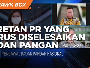 Deretan PR Yang Harus Diselesaikan Badan Pangan Nasional