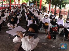 Waspada! Honorer Bisa Jadi Target Penipuan Seleksi CPNS
