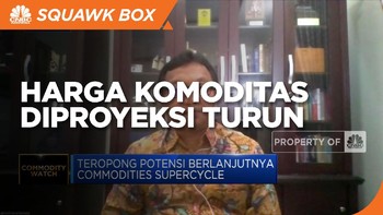 Harga Komoditas Diprediksi Turun di Akhir 2021, Ini Sebabnya!