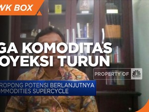 Harga Komoditas Diprediksi Turun di Akhir 2021, Ini Sebabnya!