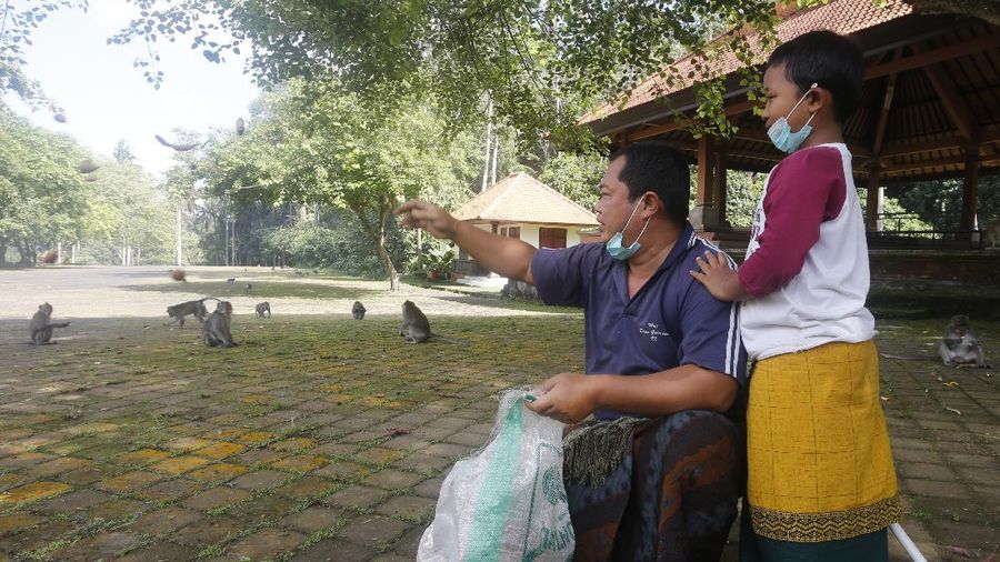 Monyet-monyet kelaparan di Bali. (AP/Firdia Lisnawati)