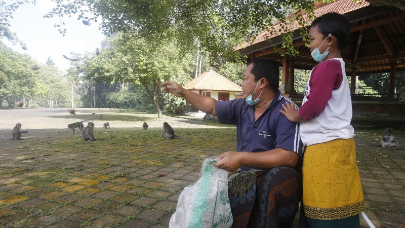 Monyet-monyet kelaparan di Bali. (AP/Firdia Lisnawati)