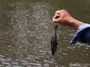 Polisi Usut Pabrik Olahan Pangan Diduga Cemari Sungai Cimanceuri Tangerang