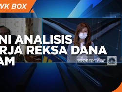 Masih Melempem, Begini Analisis Kinerja Reksa Dana Saham