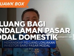 Lonjakan Investor Baru, Peluang Bagi Pendalaman Pasar Modal