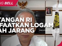 ESDM Soal Tantangan RI Manfaatkan Logam Tanah Jarang