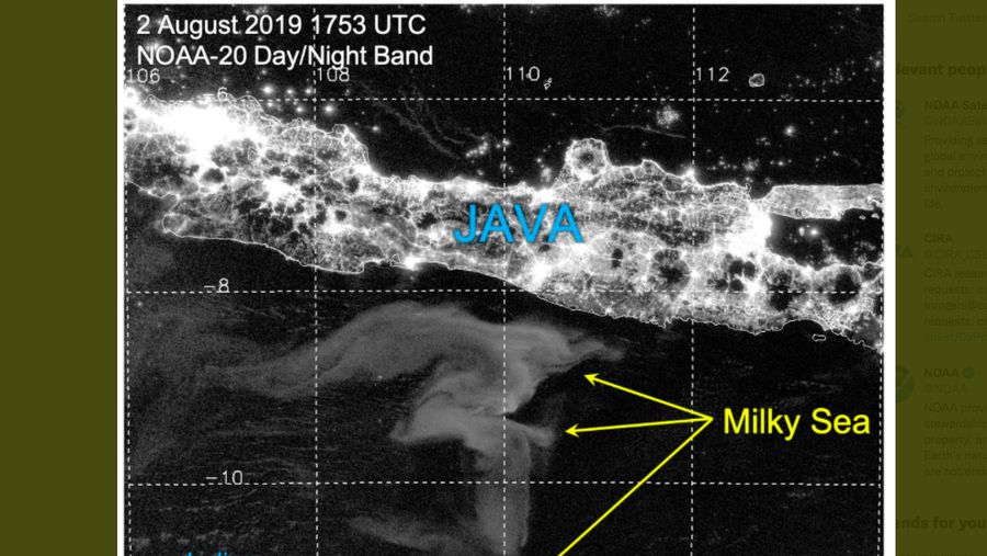 Fenomena Laut Selatan Jawa Bercahaya