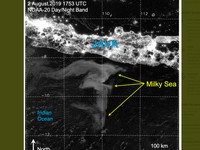 Geger Laut Selatan Jawa Bercahaya, Fenomena Apa Itu?