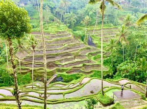 Mengejutkan! 5 Kota Ini Dianggap Biasa Saja oleh Turis Bule