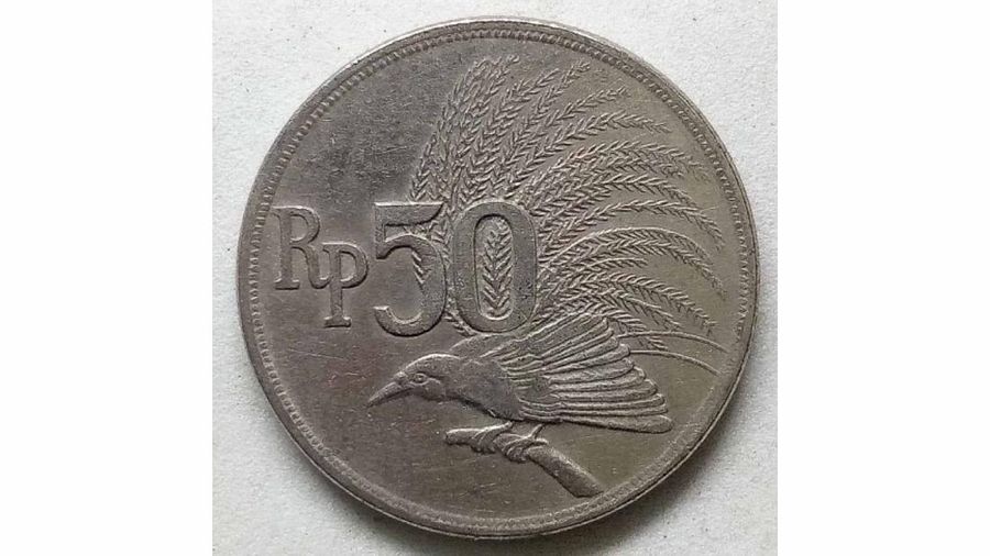 Uang 50 koin Cendrawasih. Ist