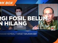 DEN: Energi Fosil Tak Hilang Tapi RI Komitmen Kurangi Emisi
