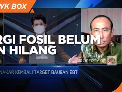 DEN: Energi Fosil Tak Hilang Tapi RI Komitmen Kurangi Emisi