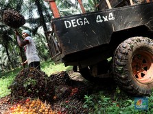 RI Akan Gugat Uni Eropa ke WTO, Harga CPO Terbang 8% Sepekan