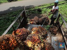 APBN Beneran Ketiban 'Durian Runtuh'! Ini Buktinya