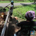 Wow! Harga CPO Capai Level Tertinggi Sepanjang Masa