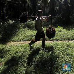 Skenario Resesi Global 2023: Dari AS, China Sampai ke RI