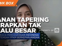 Basis Ekonomi RI Cukup Kuat, Efek Tapering Diharap Tak Besar