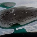 Es Greenland Terus Mencair, Bumi Terancam Bencana Besar?