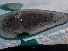 Es Greenland Terus Mencair, Bumi Terancam Bencana Besar?