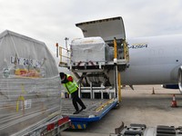 Tahap ke-69, Vaksin Pfizer Kembali Tiba di Tanah Air