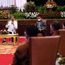 Peternak Menjerit ke Jokowi: Harga Pakan Naik, Telur Anjlok!